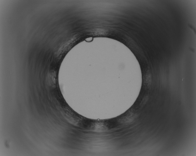 X0000103260264200809261145