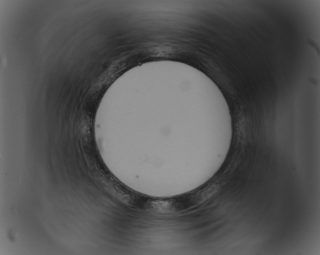 X0000103260265200809261145