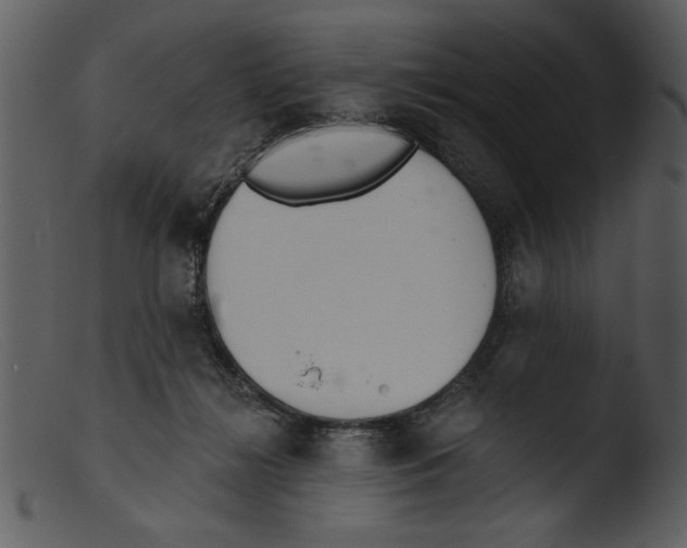 X0000103260268200809261145