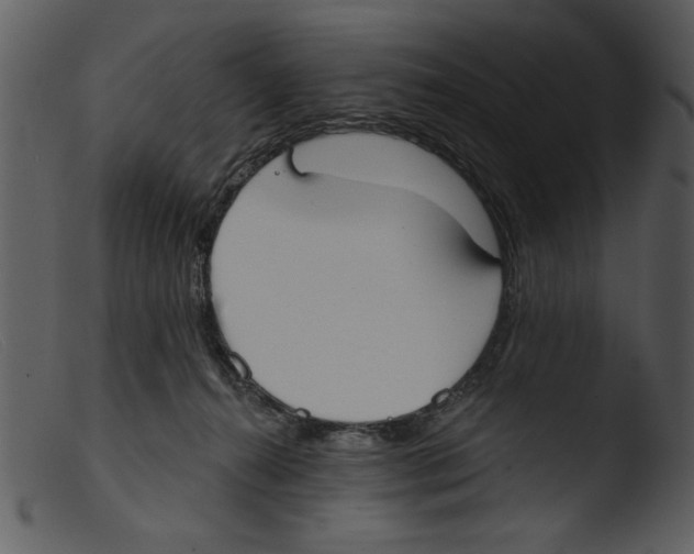 X0000103260272200809261146