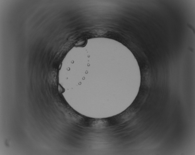 X0000103260274200809261146