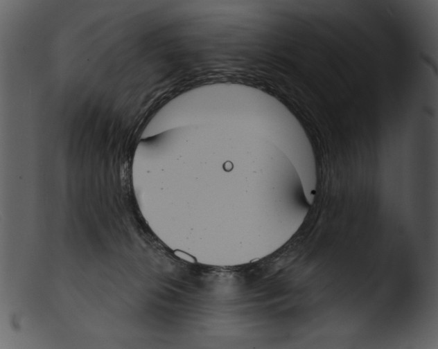 X0000103260276200809261146