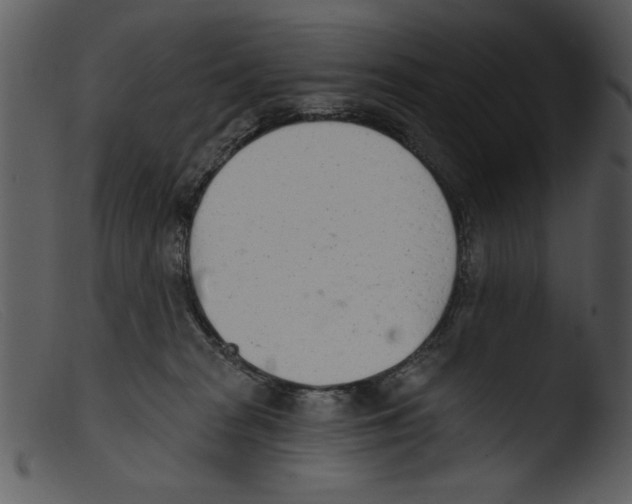 X0000103260277200809261146