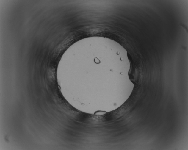 X0000103260278200809261146