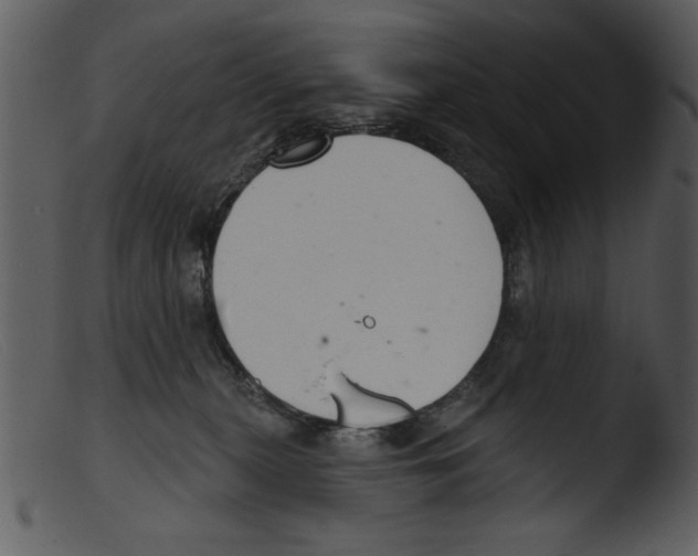 X0000103260279200809261146