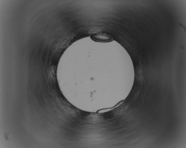 X0000103260280200809261146