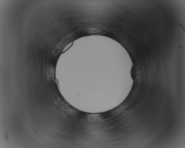 X0000103260281200809261146