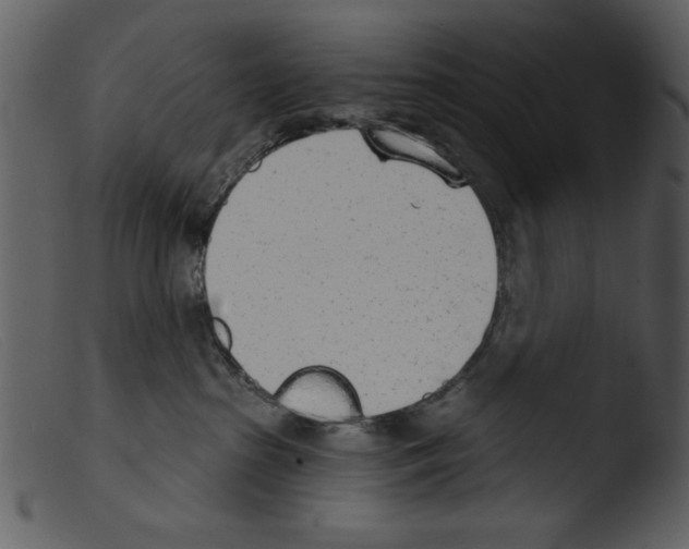 X0000103260285200809261146