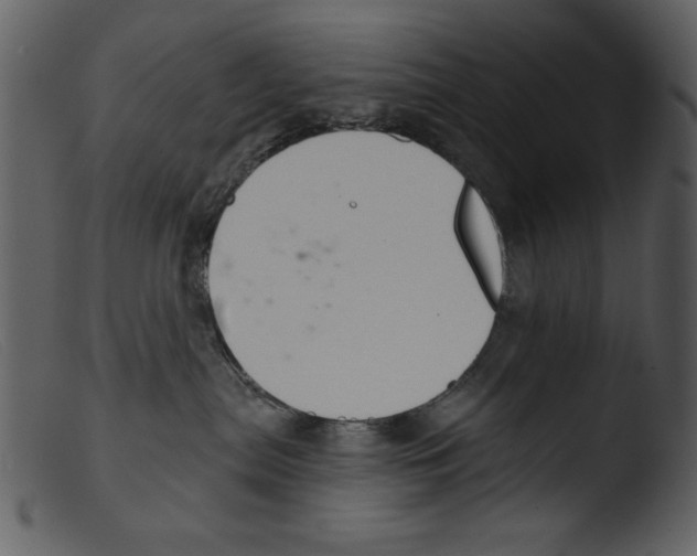 X0000103260287200809261146