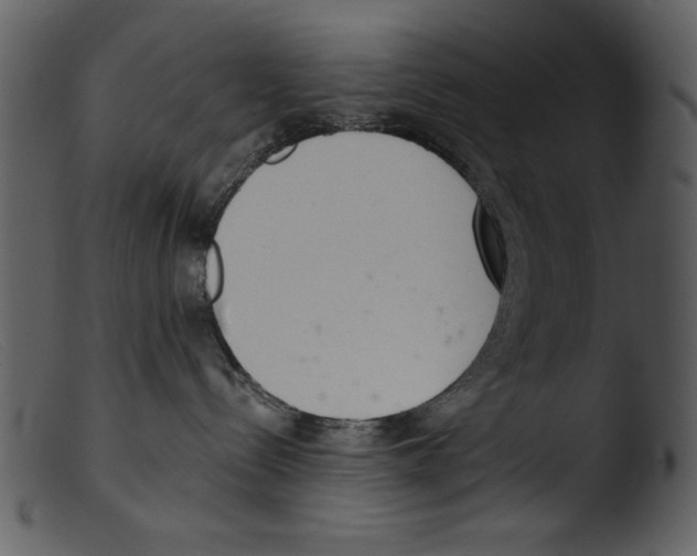 X0000103260288200809261146