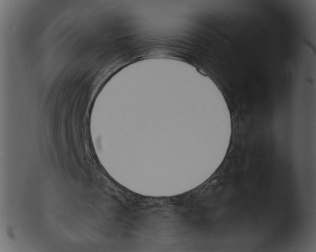 X0000103260289200809261145