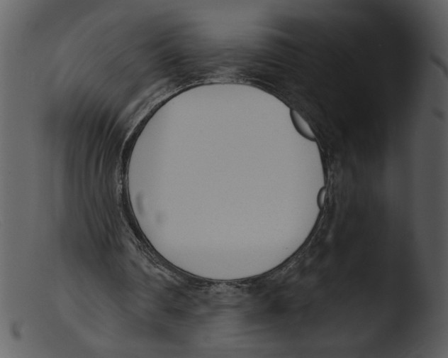 X0000103260290200809261145