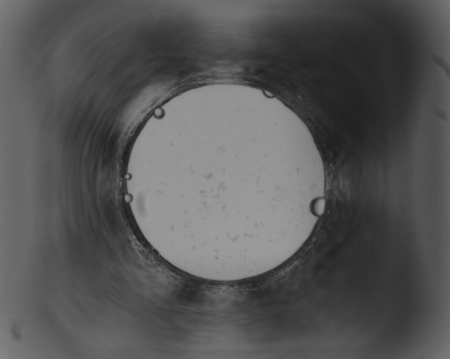 X0000103260293200809261145