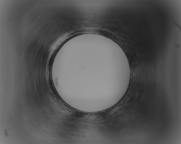 X0000103260294200809261145