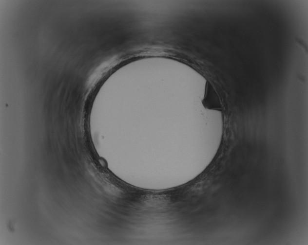 X0000103260296200809261145