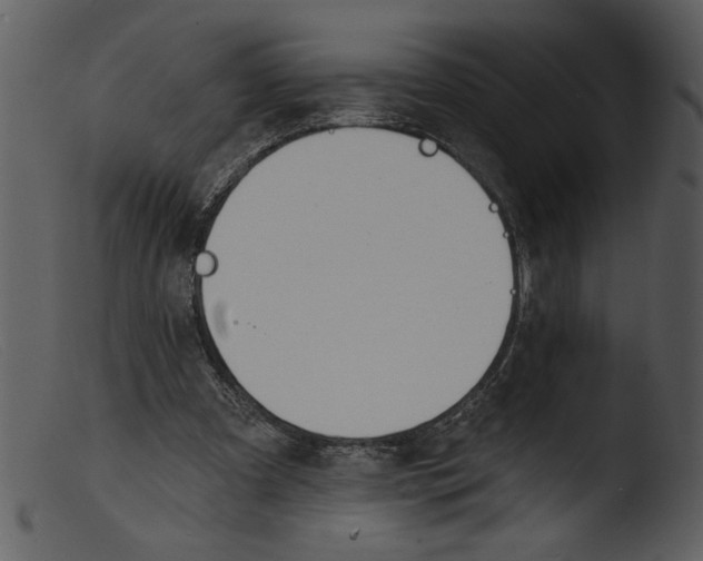 X0000103260297200809261145