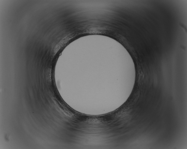 X0000103260299200809261145