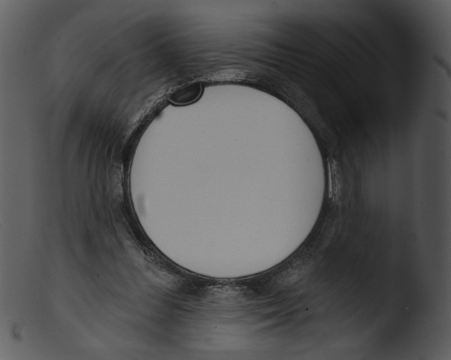 X0000103260300200809261145