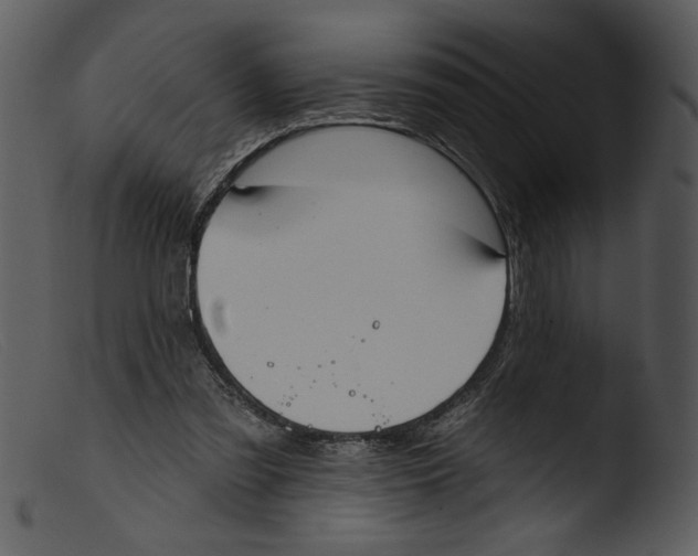 X0000103260301200809261145