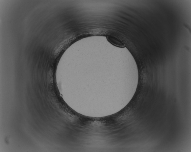 X0000103260303200809261145