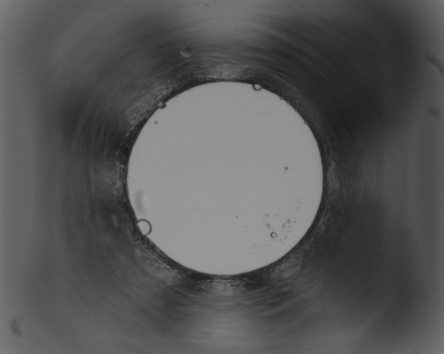 X0000103260305200809261145