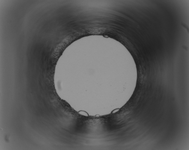 X0000103260307200809261145