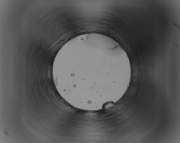 X0000103260313200809261145