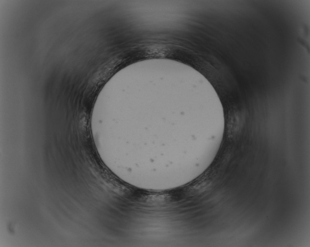 X0000103260314200809261145