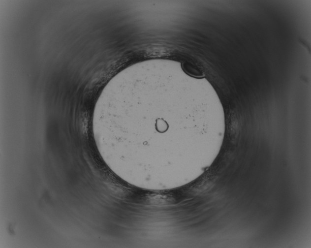 X0000103260315200809261145