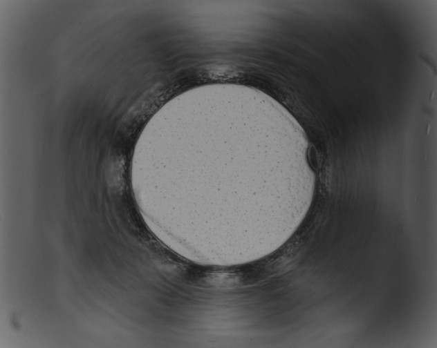 X0000103260319200809261145