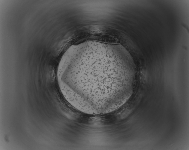 X0000103260320200809261145