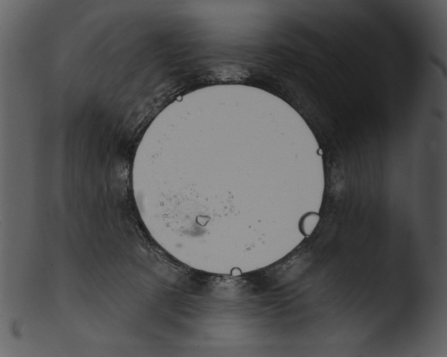 X0000103260321200809261145