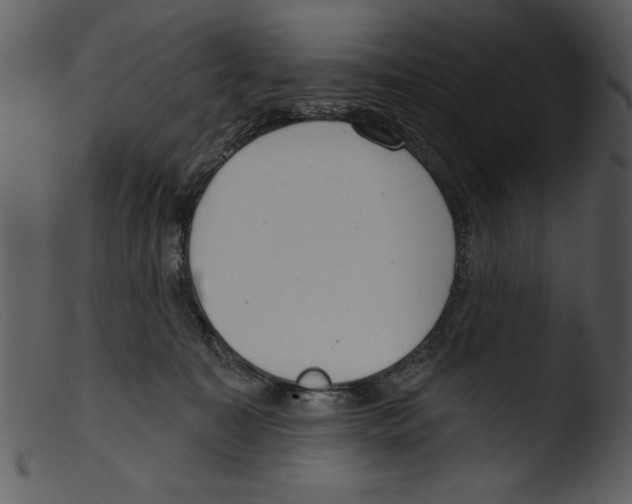 X0000103260323200809261145