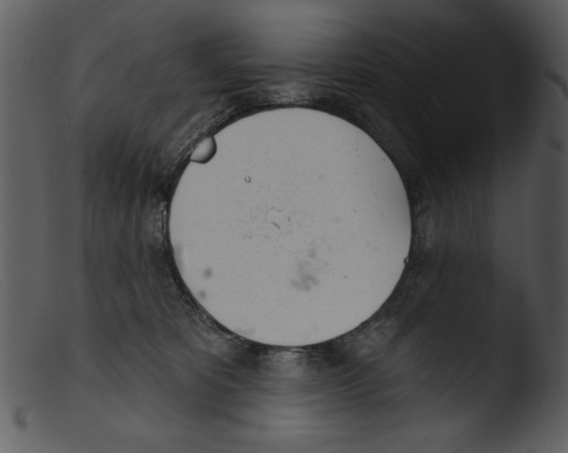 X0000103260325200809261145