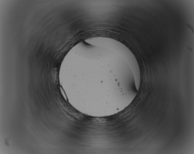 X0000103260328200809261145