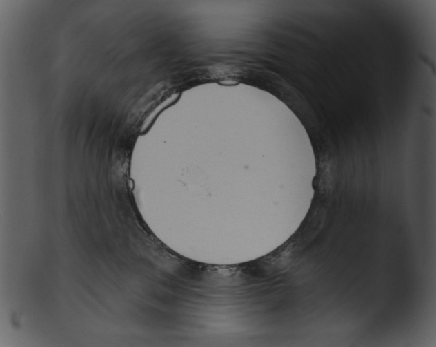 X0000103260329200809261145