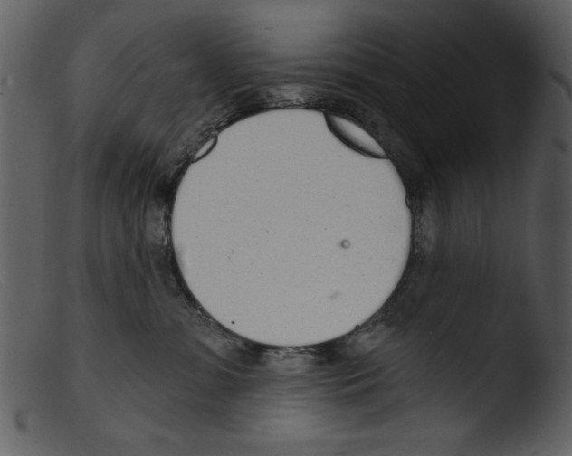 X0000103260331200809261145