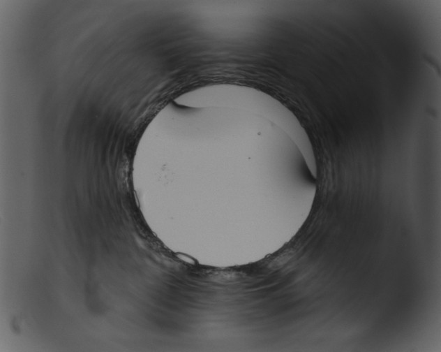 X0000103260332200809261144