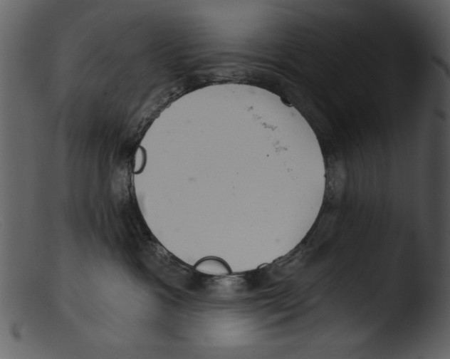 X0000103260333200809261144