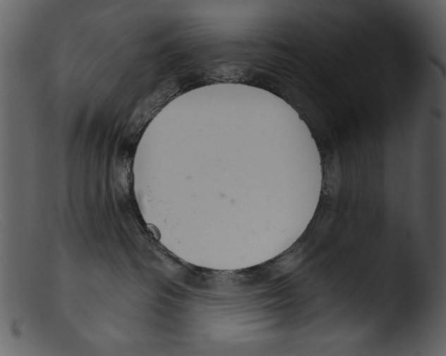 X0000103260334200809261144