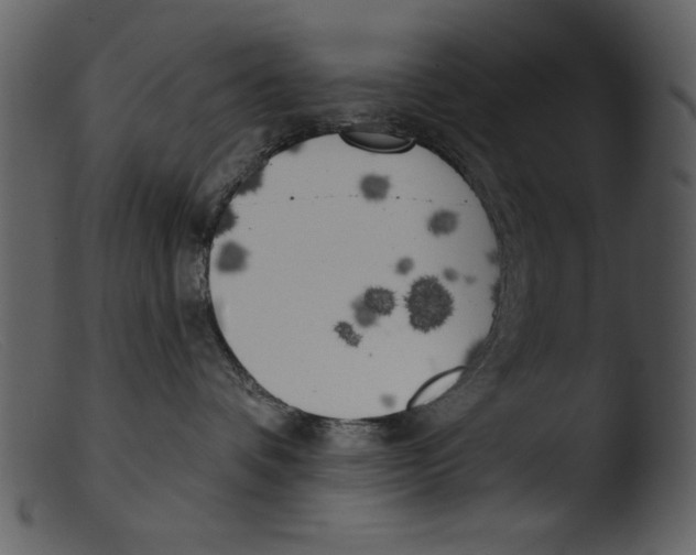 X0000103260336200809261144