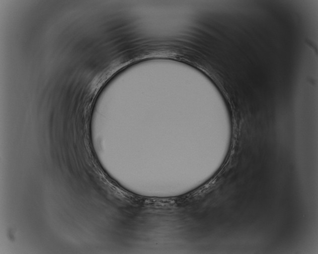 X0000103260337200809261144