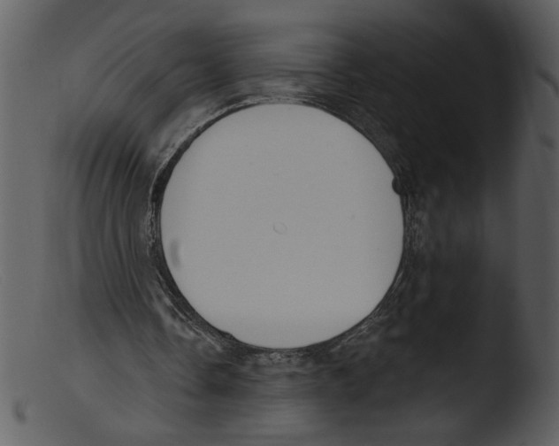 X0000103260338200809261144