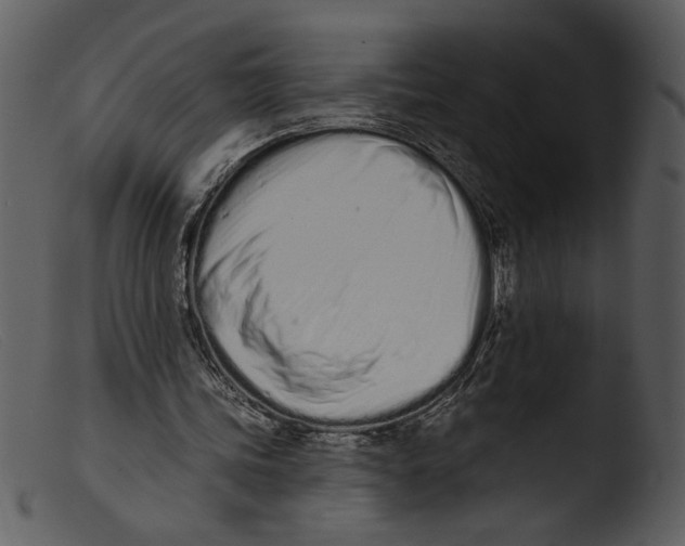 X0000103260339200809261144