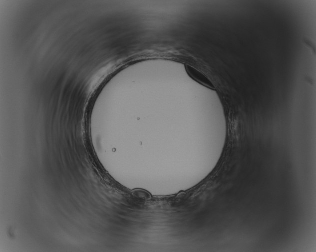 X0000103260340200809261144