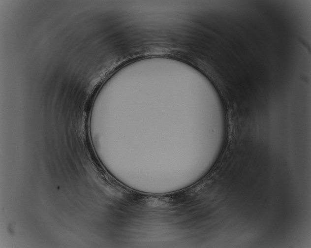 X0000103260346200809261144