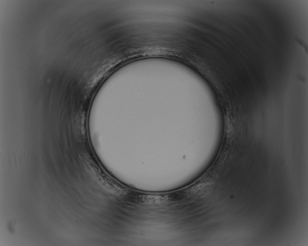 X0000103260347200809261144