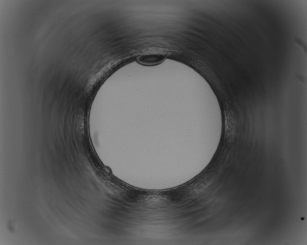 X0000103260348200809261144