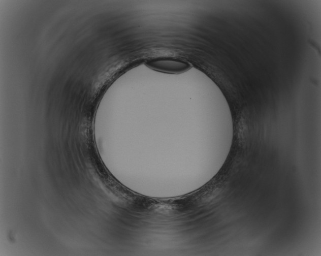 X0000103260352200809261144