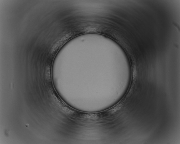 X0000103260353200809261144